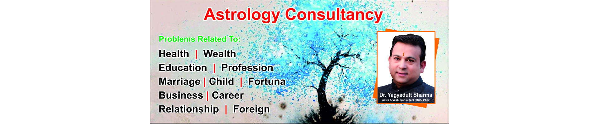 Astrology Consultancy