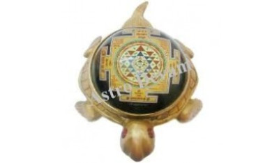 Kachua Shree Yantra