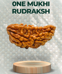 One Mukhi Rudraksha