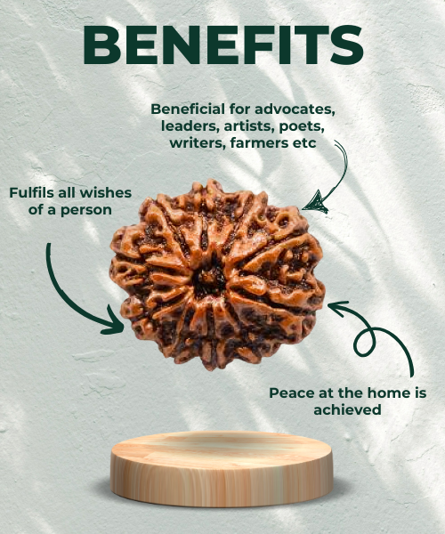 Ten Mukhi Rudraksha