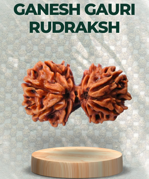 Ganesh Gauri Rudraksha