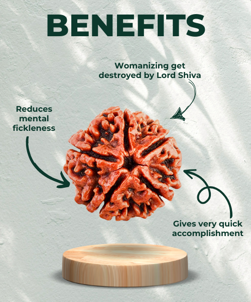 Five Mukhi Rudraksha