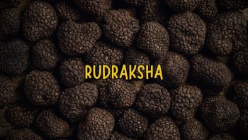 Rudraksha