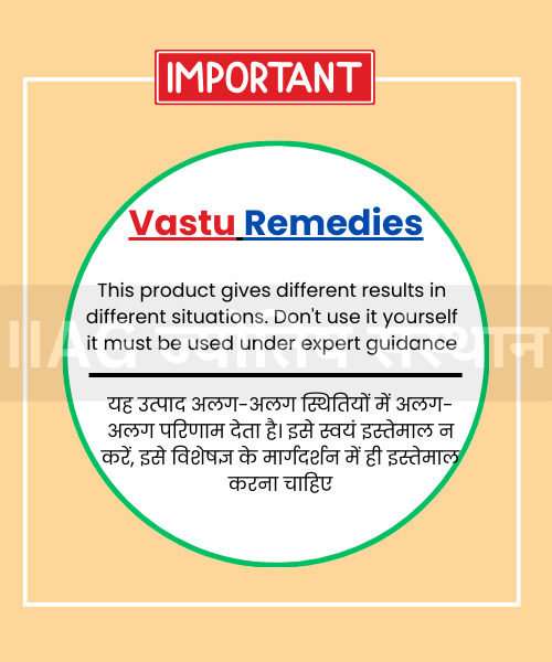 Shakti Chakra (Vastu Mapping Tool)