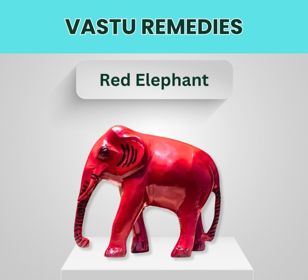 Red Elephant (Raja Hathi)