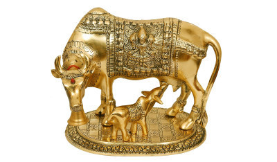 Kamdhenu Cow