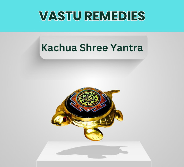 Kachua Shree Yantra