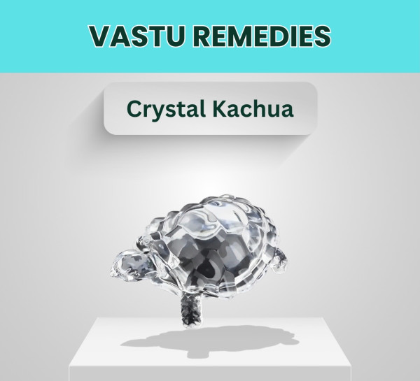 Crystal Kachua