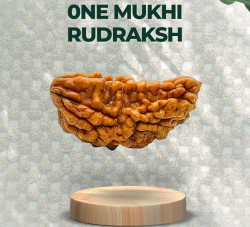 One Mukhi Rudraksha