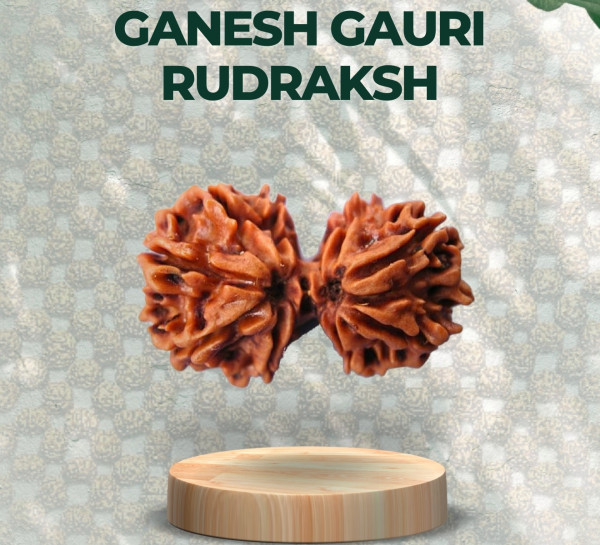 Ganesh Gauri Rudraksha