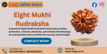 Eight Mukhi Rudraksha: Meaning, Benefits, and How It Transforms Your Life