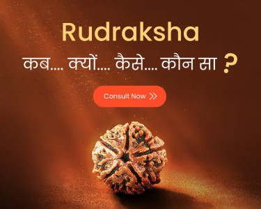 Three Mukhi Rudraksh