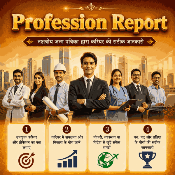 Profession Report