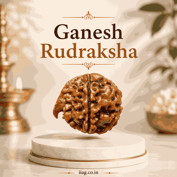 Ganesh Rudraksha