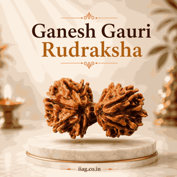 Ganesh Gauri Rudraksha