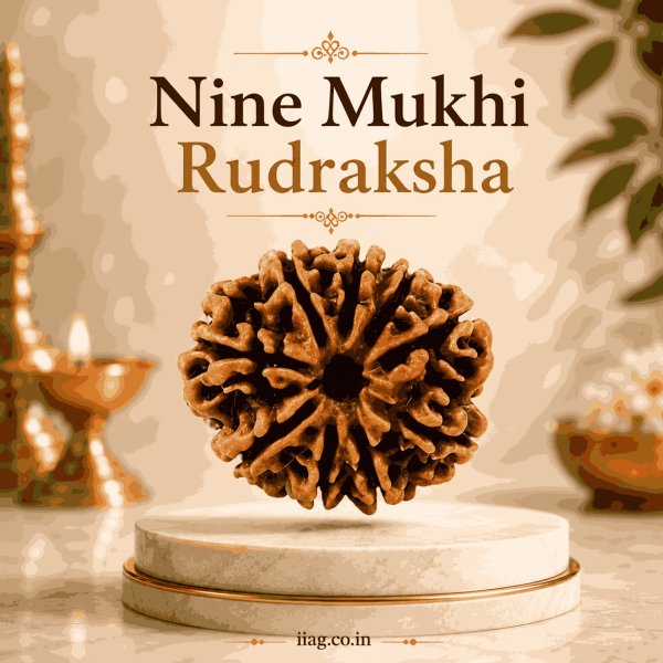 Nine Mukhi Rudraksha