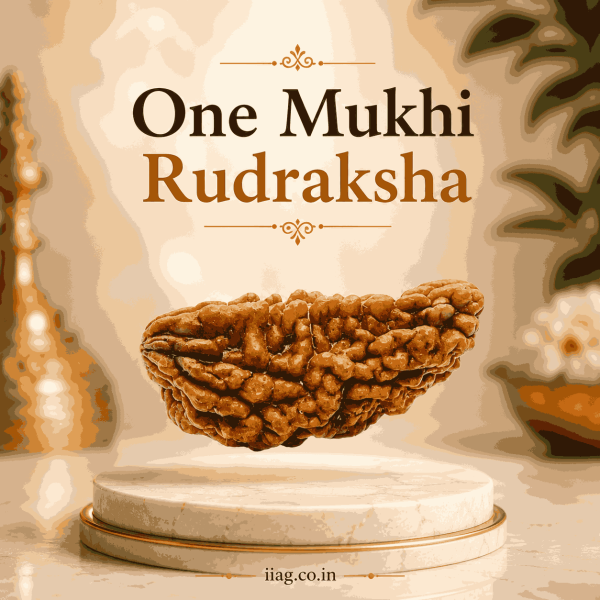 One Mukhi Rudraksha