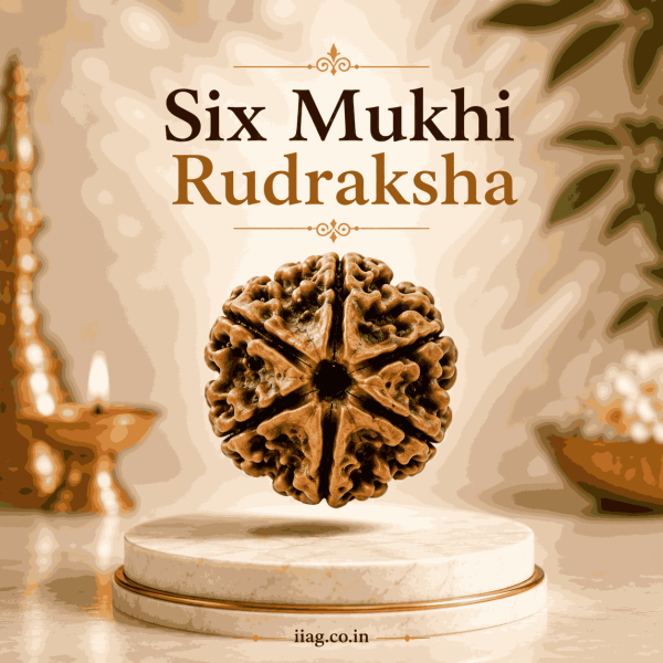 Six Mukhi Rudraksha