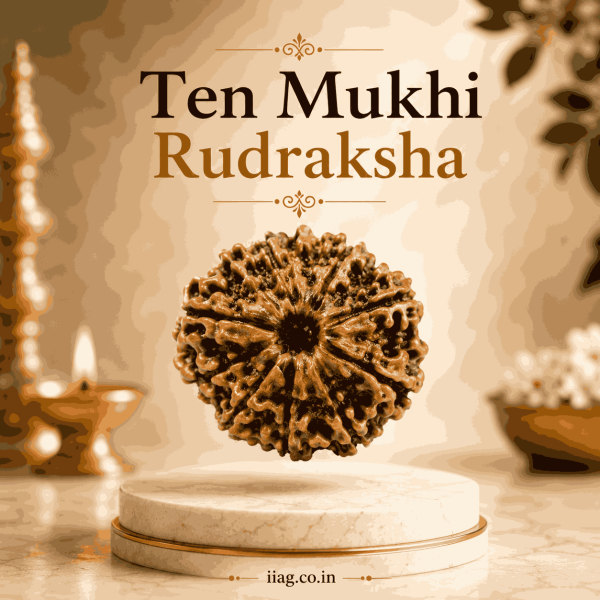 Ten Mukhi Rudraksha