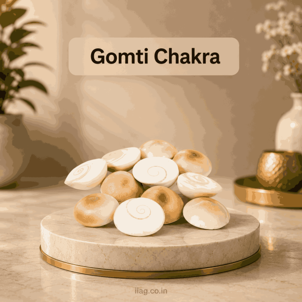 Gomti Chakra (Set of 11)
