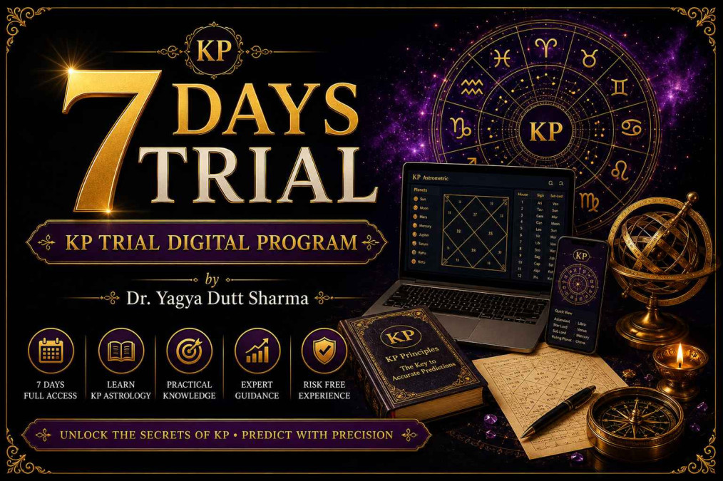 KP Trial Digital Program