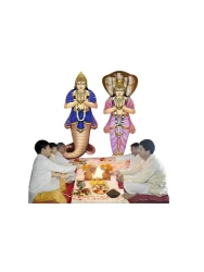 Kaal Sarp Dosh Puja