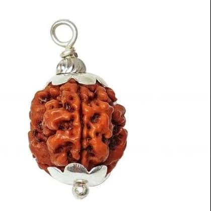 Three Mukhi Rudraksha